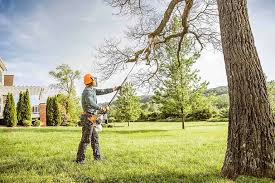 Best Lawn Drainage Solutions  in Kincaid, IL