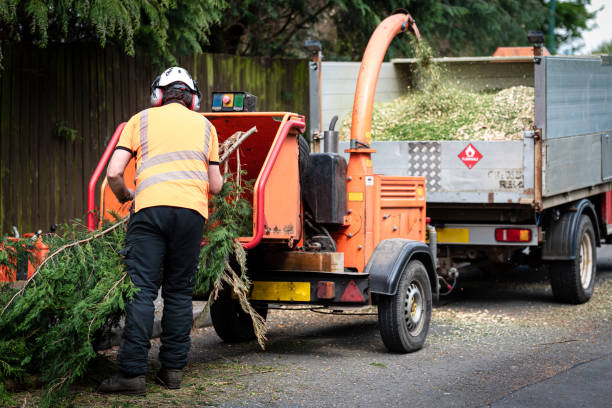 Best Weed Control  in Kincaid, IL