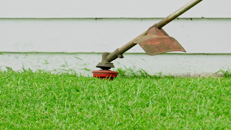 Best Seasonal Cleanup (Spring/Fall)  in Kincaid, IL